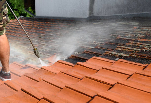 Best Local Pressure Washing Services  in Hardeeville, SC